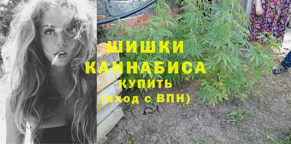 ПСИЛОЦИБИНОВЫЕ ГРИБЫ Вязьма