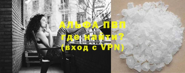 твердый Вяземский