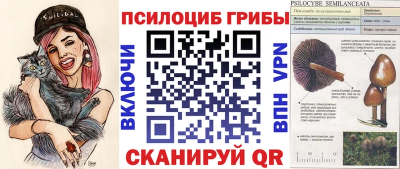 darknet клад  дарнет шоп  Дмитровск  Галлюциногенные грибы Magic Shrooms  blacksprut ссылка 